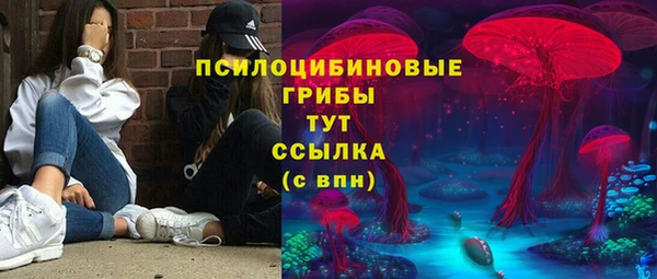 ПСИЛОЦИБИНОВЫЕ ГРИБЫ Тихвин