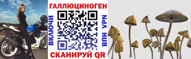 Галлюциногенные грибы Psilocybine cubensis Боготол