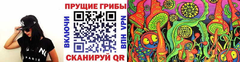 Купить  Боготол  Галлюциногенные грибы Psilocybine cubensis 